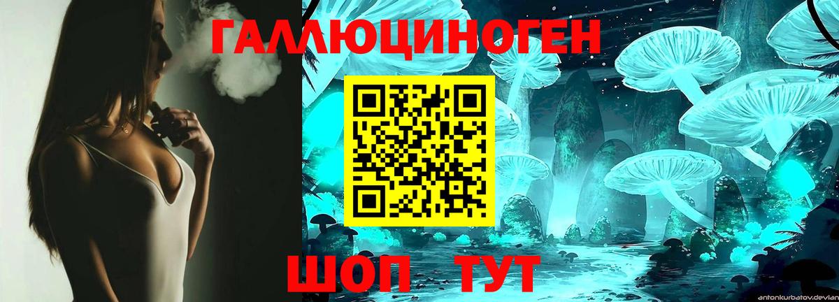 Галлюциногенные грибы GOLDEN TEACHER  Вход с VPN  наркошоп  Псилоцибиновые грибы Psilocybine cubensis  Кизилюрт 